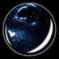 Preview: Black Swan BS002