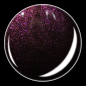 Preview: Black Swan BS005