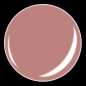 Preview: Brandy Rose #H011