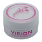Preview: vision