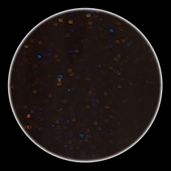 Color Glitter Powder 24