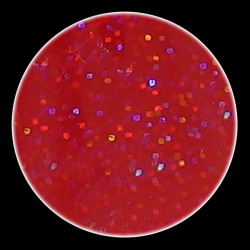 Color Glitter Powder 29