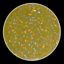 Color Glitter Powder 33