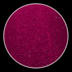 Color Powder Metallic el01