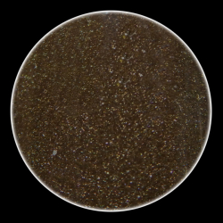 Color Powder Metallic EL05