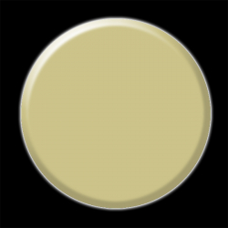 P1