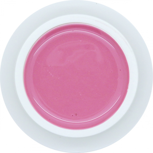 Nail Artist IN-TOUCH "Dark French Pink"