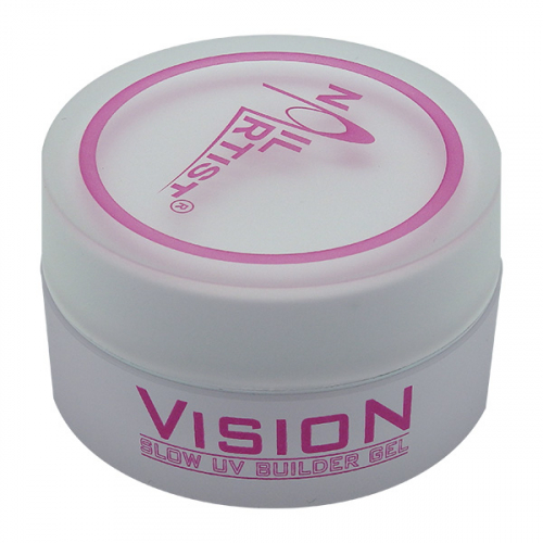 vision